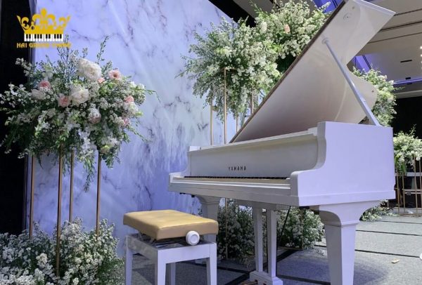 Top 7 bài hát đám cưới dễ để luyện chơi piano